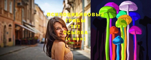 спиды Волоколамск